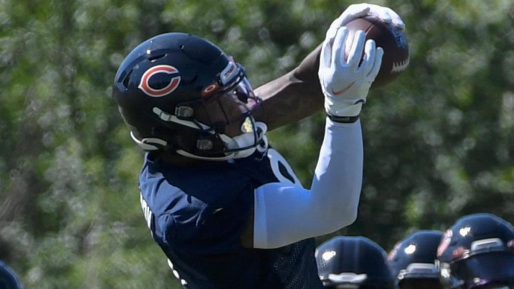 New Bears Wide N’Keal Harry leidet laut Berichten an einer schweren Knöchelverstauchung