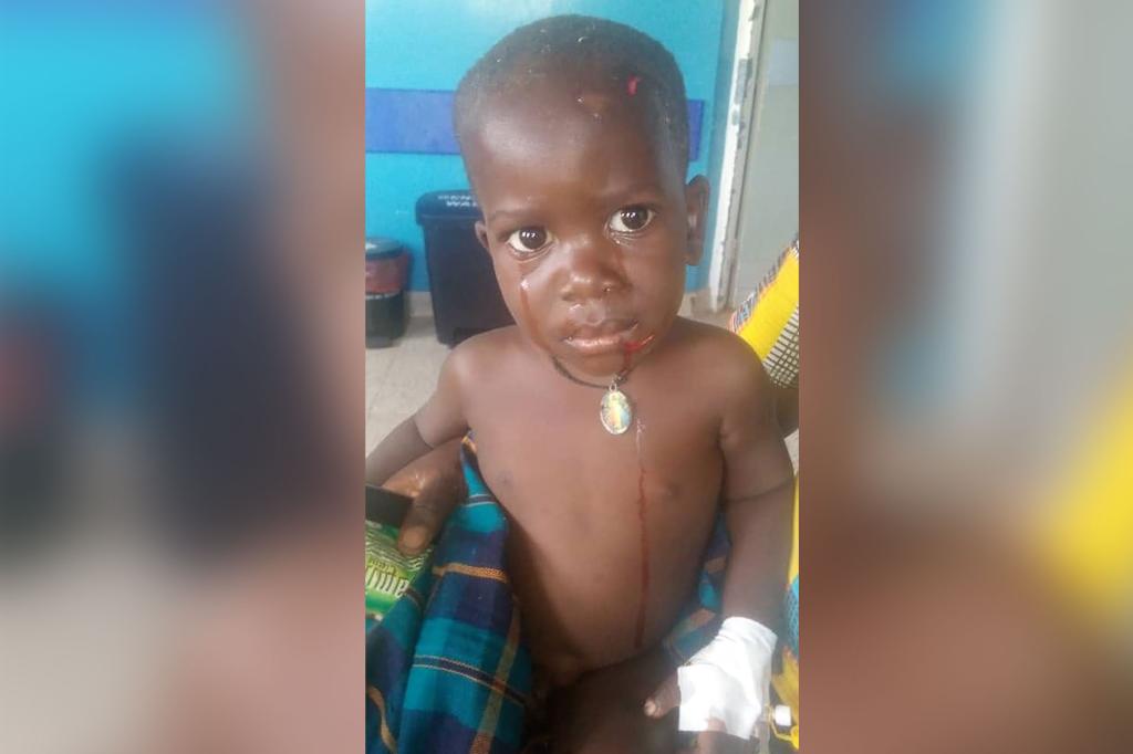 Ein Nilpferd verschluckt und scheidet einen zweijährigen Jungen in Uganda aus